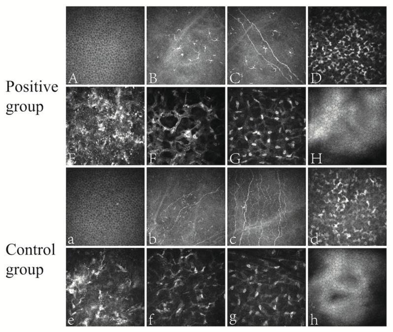 https://cdn.ncbi.nlm.nih.gov/pmc/blobs/34af/10609374/7432542e9d59/microorganisms-11-02441-g001.jpg