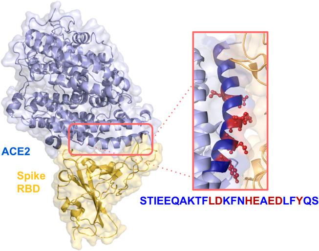https://cdn.ncbi.nlm.nih.gov/pmc/blobs/34af/10797010/6d6dad84938c/fmolb-10-1332359-g001.jpg