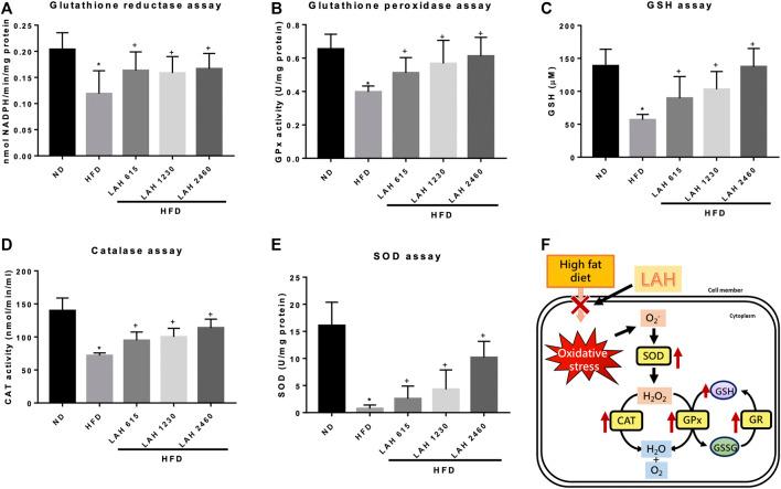 https://cdn.ncbi.nlm.nih.gov/pmc/blobs/34af/9729544/f7135a4533ab/fphar-13-1026912-g008.jpg