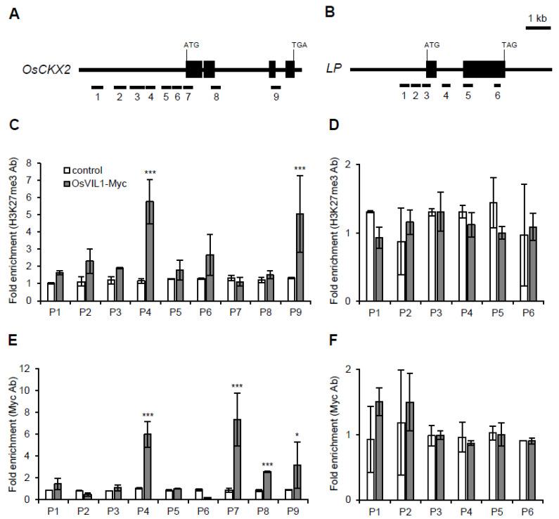 https://cdn.ncbi.nlm.nih.gov/pmc/blobs/34b1/8747509/1eb89a2ec327/plants-11-00083-g007.jpg