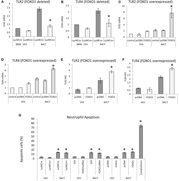 https://cdn.ncbi.nlm.nih.gov/pmc/blobs/34b2/5591501/6a6d26a5de2e/fimmu-08-01088-g006.jpg
