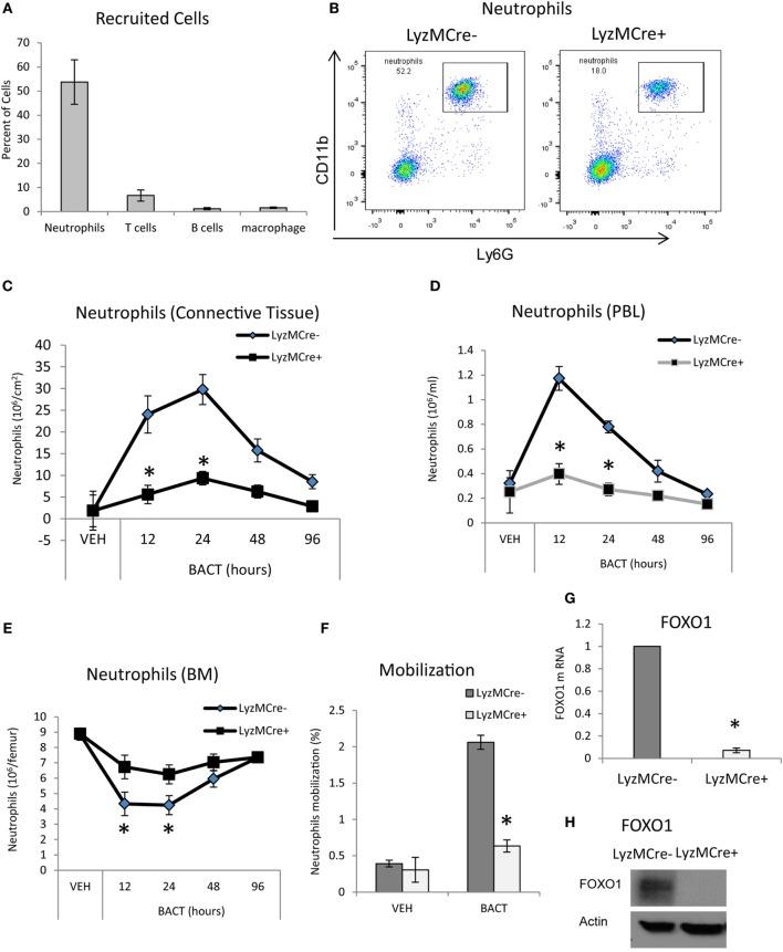 https://cdn.ncbi.nlm.nih.gov/pmc/blobs/34b2/5591501/ab771d5f7ef7/fimmu-08-01088-g001.jpg