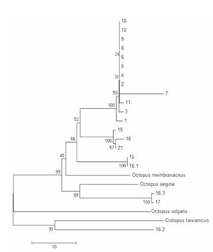 https://cdn.ncbi.nlm.nih.gov/pmc/blobs/34b3/5076697/08382a65f43f/ijfs-2014-4-4521-g001.jpg