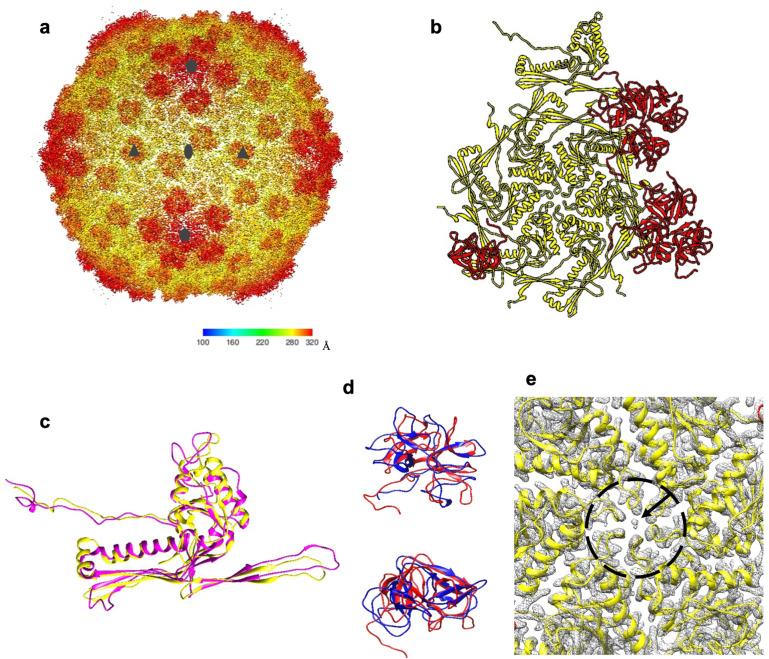 https://cdn.ncbi.nlm.nih.gov/pmc/blobs/34b6/10457771/03bdca7b6464/viruses-15-01673-g006.jpg
