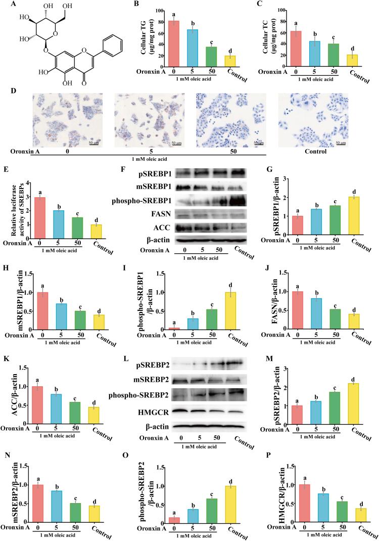 https://cdn.ncbi.nlm.nih.gov/pmc/blobs/34b8/11015455/db5c3870fa49/gr1.jpg