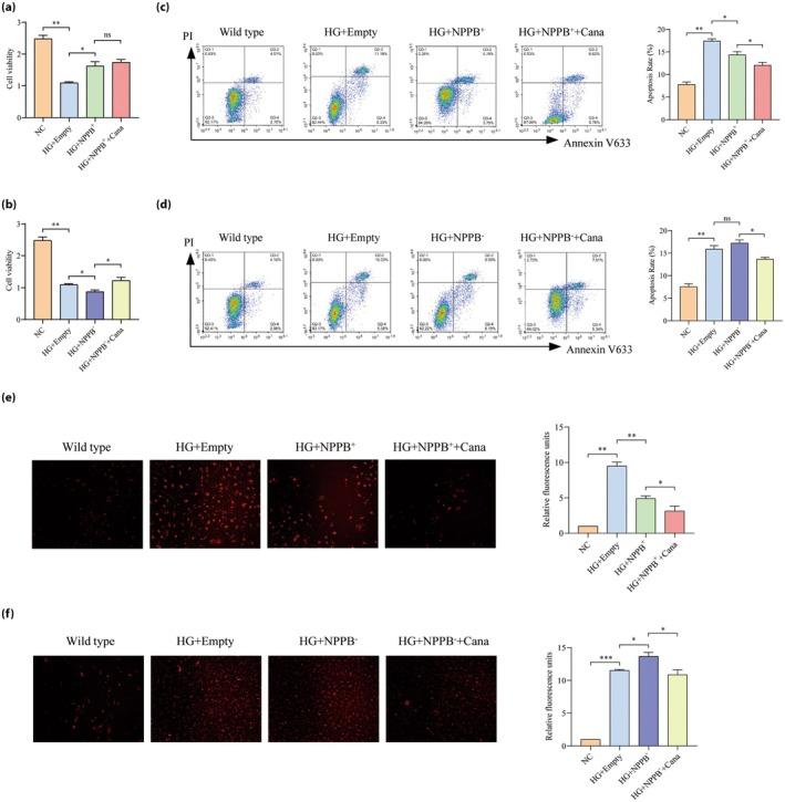 https://cdn.ncbi.nlm.nih.gov/pmc/blobs/34b8/12315230/2d250e1d41c5/JDI-16-1430-g004.jpg