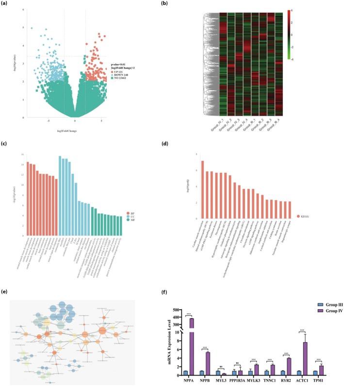 https://cdn.ncbi.nlm.nih.gov/pmc/blobs/34b8/12315230/c01dd1f89e76/JDI-16-1430-g006.jpg