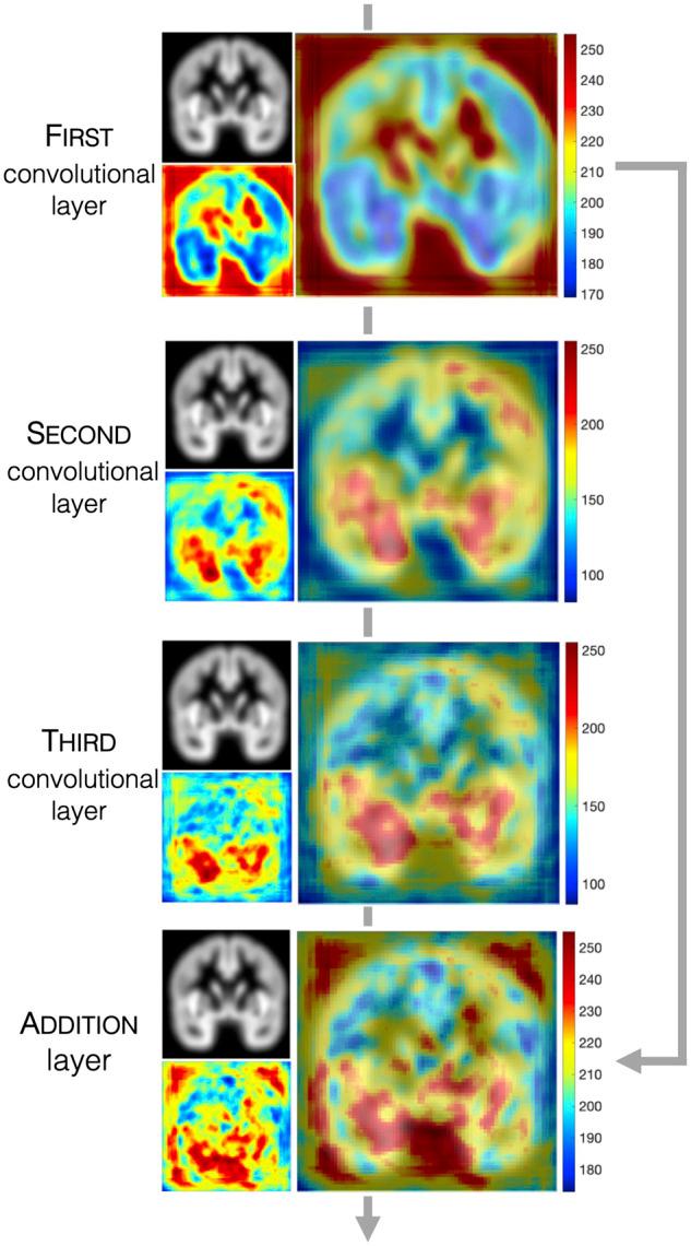 https://cdn.ncbi.nlm.nih.gov/pmc/blobs/34b9/8887904/825ebc845a94/fcab284f5.jpg