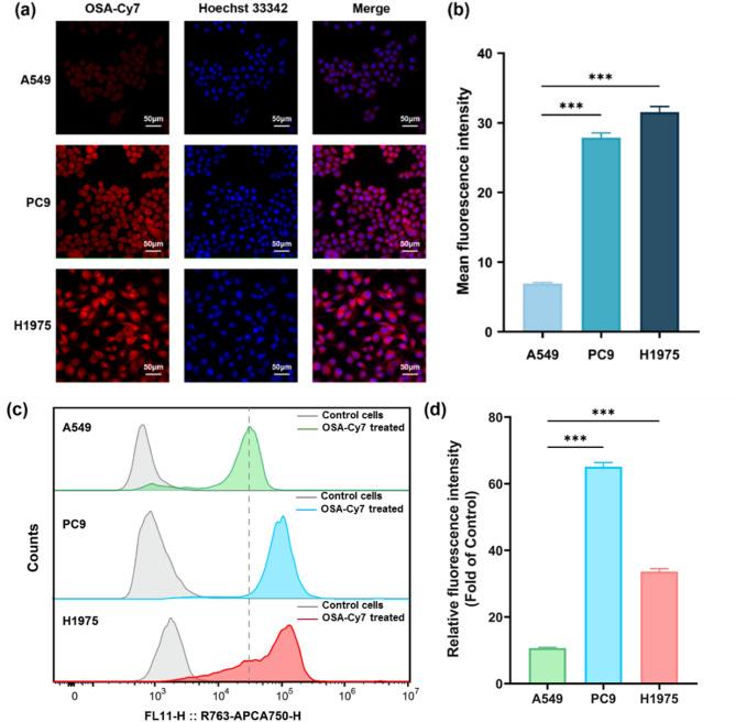 https://cdn.ncbi.nlm.nih.gov/pmc/blobs/34ba/12379436/7559e03639a7/12896_2025_1025_Fig2_HTML.jpg