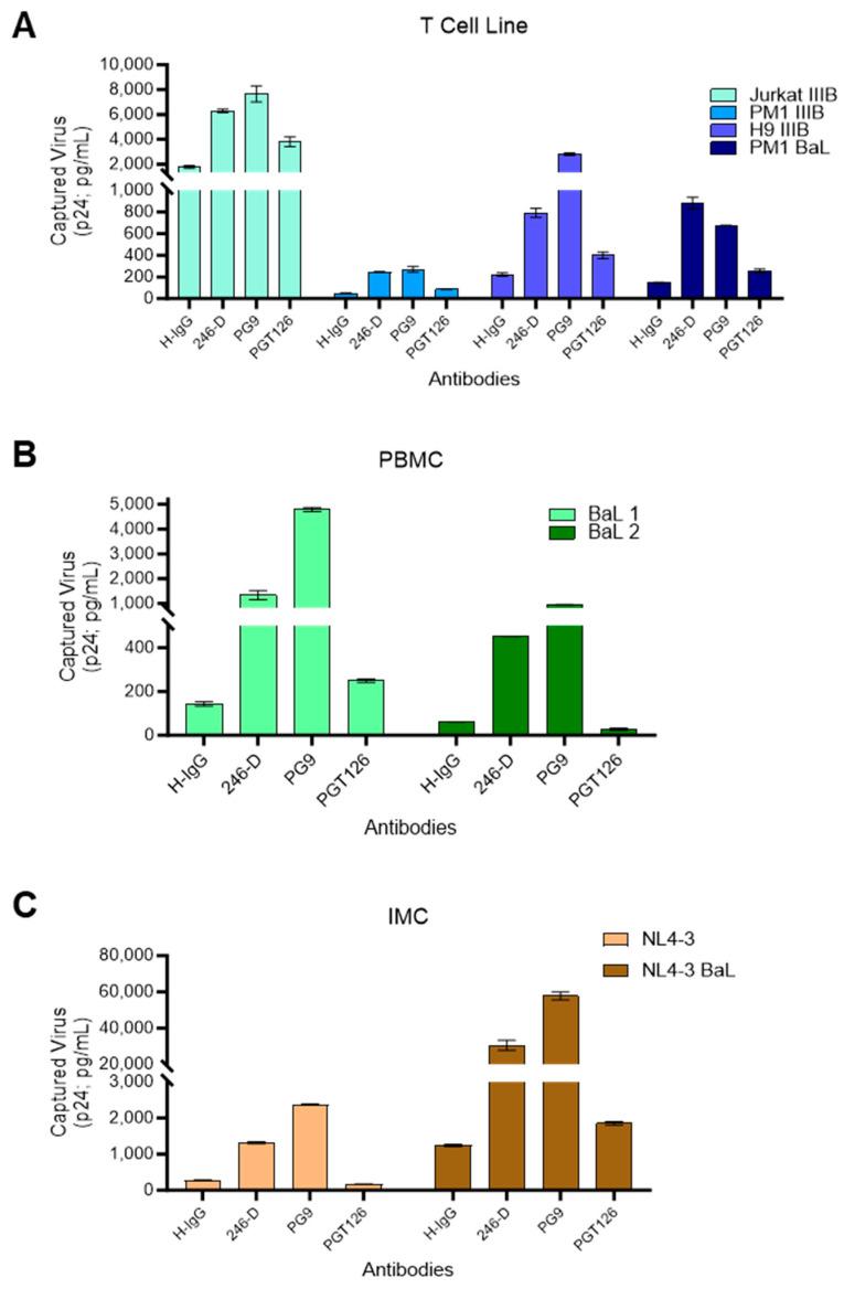https://cdn.ncbi.nlm.nih.gov/pmc/blobs/34bc/11209363/2522b6a872d8/viruses-16-00935-g003.jpg