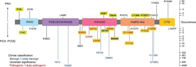 https://cdn.ncbi.nlm.nih.gov/pmc/blobs/34be/11336063/200ff5928c1e/ddae082f1.jpg