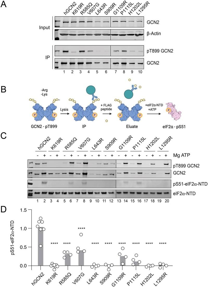 https://cdn.ncbi.nlm.nih.gov/pmc/blobs/34be/11336063/49756e7723d7/ddae082f6.jpg