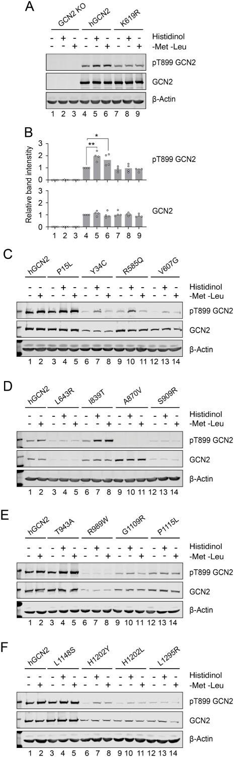 https://cdn.ncbi.nlm.nih.gov/pmc/blobs/34be/11336063/b7f9fe121429/ddae082f3.jpg
