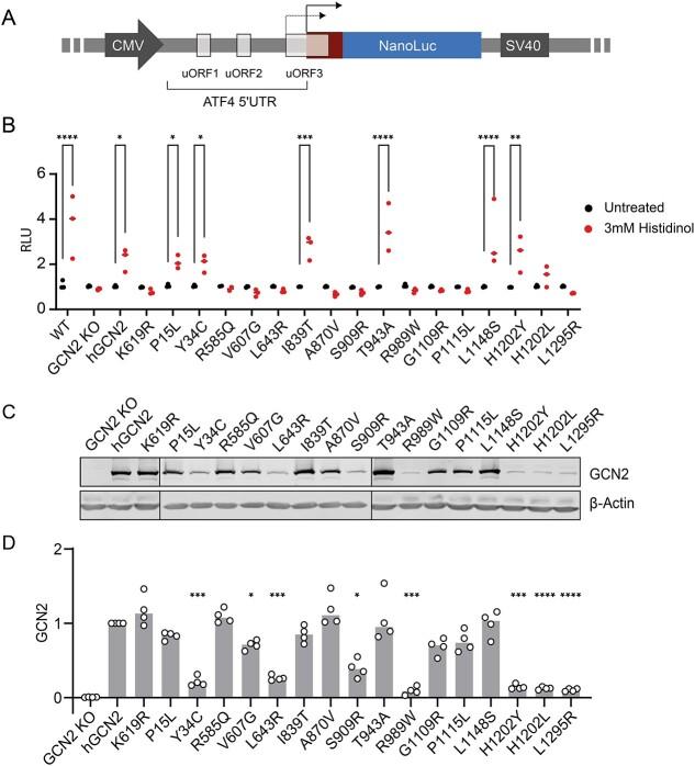 https://cdn.ncbi.nlm.nih.gov/pmc/blobs/34be/11336063/dc0efd43976f/ddae082f2.jpg