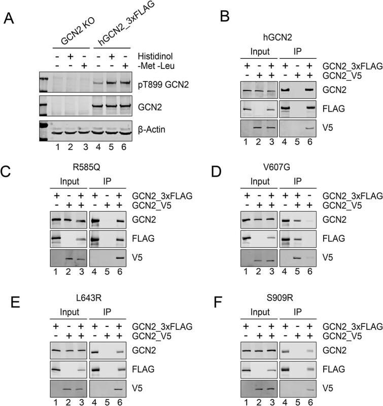 https://cdn.ncbi.nlm.nih.gov/pmc/blobs/34be/11336063/f236a3b473bc/ddae082f5.jpg
