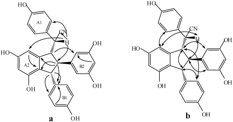 https://cdn.ncbi.nlm.nih.gov/pmc/blobs/34c0/6332065/0cfd6e82da7b/molecules-20-19872-g006.jpg