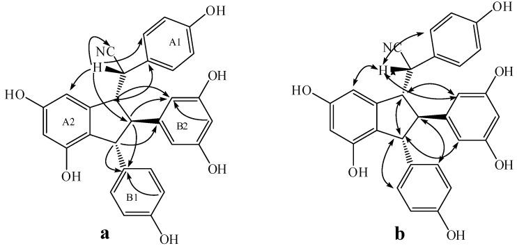 https://cdn.ncbi.nlm.nih.gov/pmc/blobs/34c0/6332065/2803fc0c282a/molecules-20-19872-g005.jpg