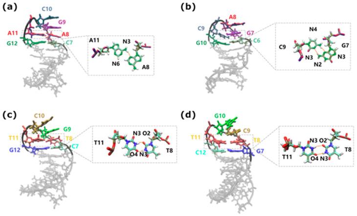 https://cdn.ncbi.nlm.nih.gov/pmc/blobs/34c2/11505666/a045dac0c638/biomolecules-14-01278-g005.jpg