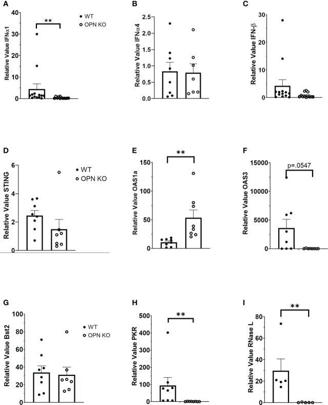 https://cdn.ncbi.nlm.nih.gov/pmc/blobs/34c4/9846535/68bba4270f96/fimmu-13-1028341-g002.jpg