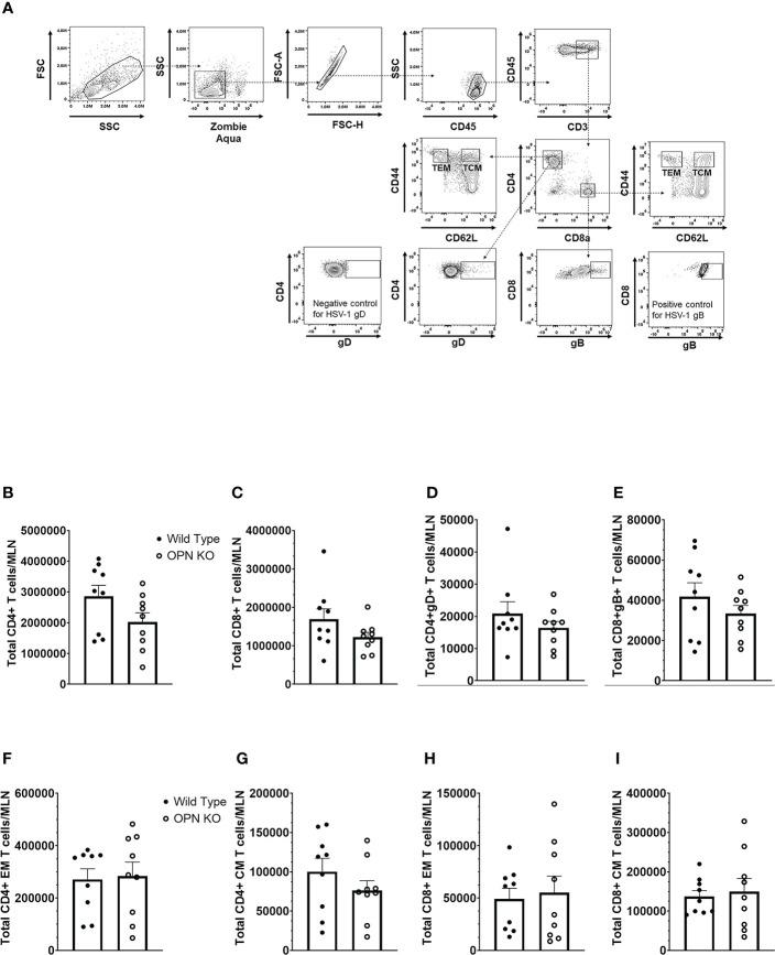 https://cdn.ncbi.nlm.nih.gov/pmc/blobs/34c4/9846535/87e989ec0faa/fimmu-13-1028341-g004.jpg