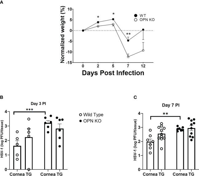 https://cdn.ncbi.nlm.nih.gov/pmc/blobs/34c4/9846535/883edbabf3bc/fimmu-13-1028341-g001.jpg