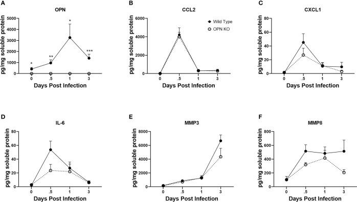 https://cdn.ncbi.nlm.nih.gov/pmc/blobs/34c4/9846535/ab524922b40c/fimmu-13-1028341-g006.jpg