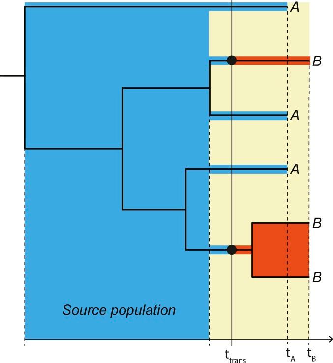 https://cdn.ncbi.nlm.nih.gov/pmc/blobs/34c5/5676238/25202083210b/1089fig2.jpg