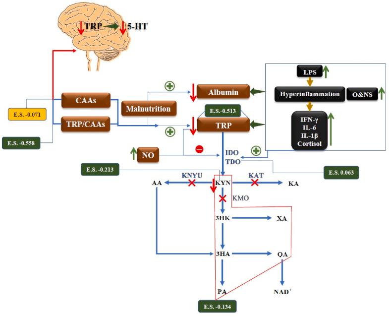 https://cdn.ncbi.nlm.nih.gov/pmc/blobs/34c5/9630622/9b165a438d15/gr1.jpg