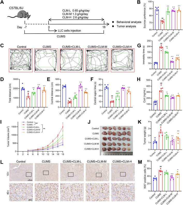 https://cdn.ncbi.nlm.nih.gov/pmc/blobs/34c6/12332513/6aa9bbe8f9ce/fphar-16-1644315-g002.jpg