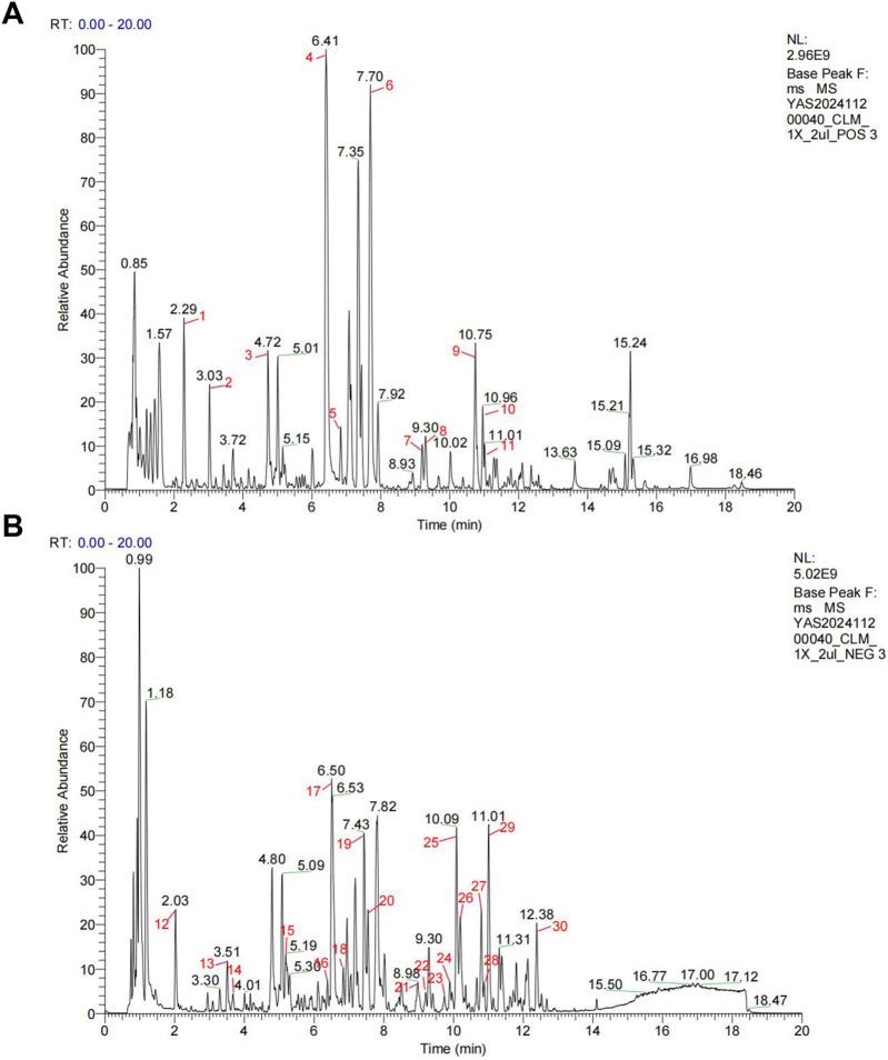 https://cdn.ncbi.nlm.nih.gov/pmc/blobs/34c6/12332513/8d61c02e4727/fphar-16-1644315-g001.jpg