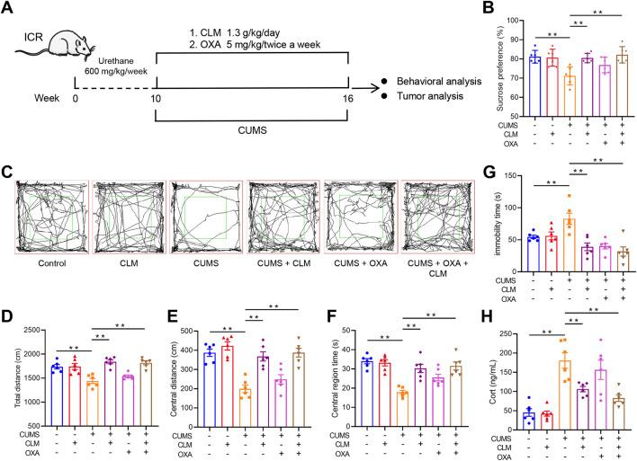 https://cdn.ncbi.nlm.nih.gov/pmc/blobs/34c6/12332513/cd67e6441416/fphar-16-1644315-g003.jpg