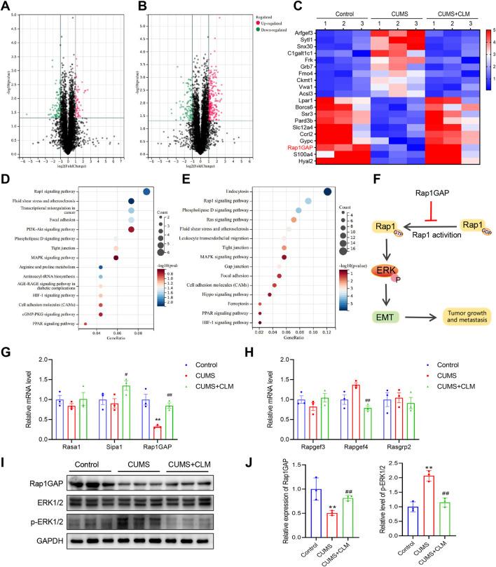 https://cdn.ncbi.nlm.nih.gov/pmc/blobs/34c6/12332513/e96dd81a5f3f/fphar-16-1644315-g005.jpg