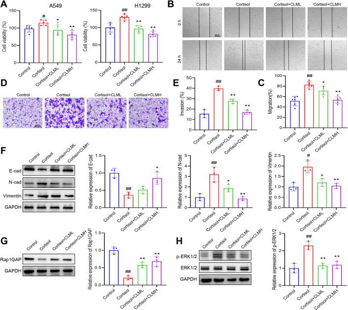 https://cdn.ncbi.nlm.nih.gov/pmc/blobs/34c6/12332513/f7671b20a5ed/fphar-16-1644315-g007.jpg