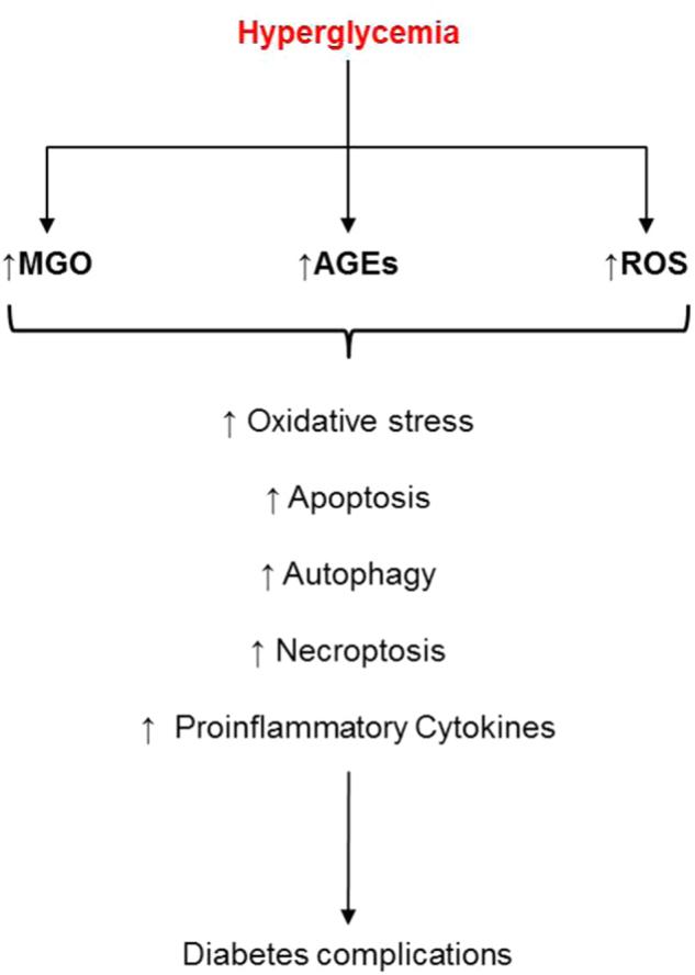https://cdn.ncbi.nlm.nih.gov/pmc/blobs/34c8/5833737/ce2d3416af33/41419_2017_135_Fig1_HTML.jpg