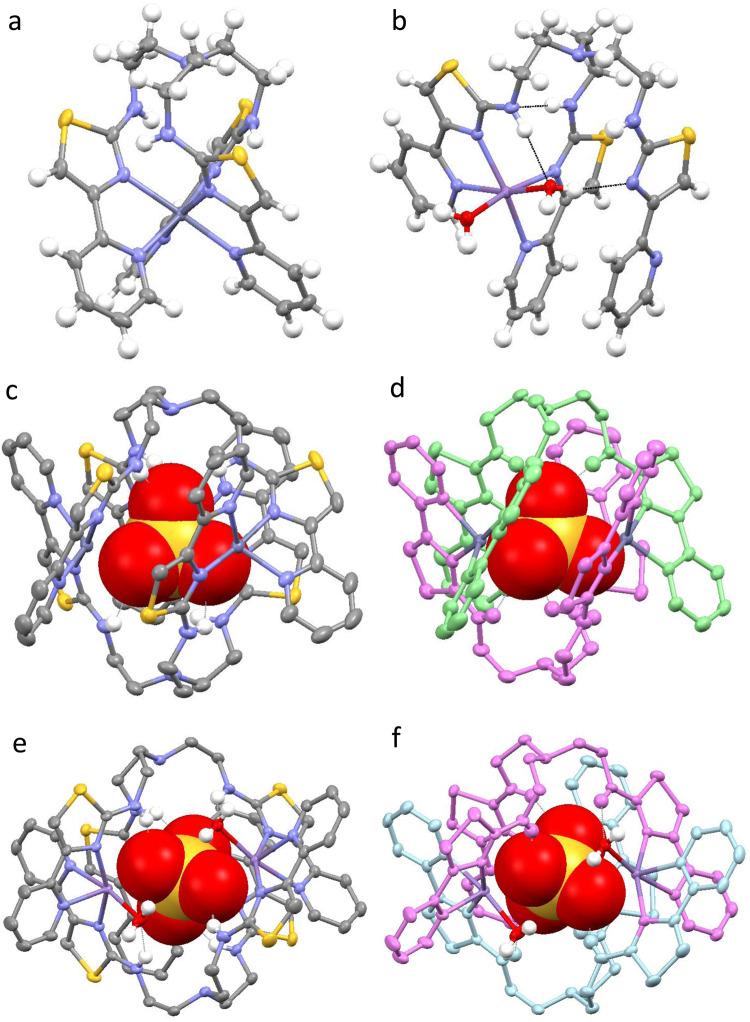 https://cdn.ncbi.nlm.nih.gov/pmc/blobs/34c8/8222254/1fa22a5d253a/41467_2021_23983_Fig2_HTML.jpg