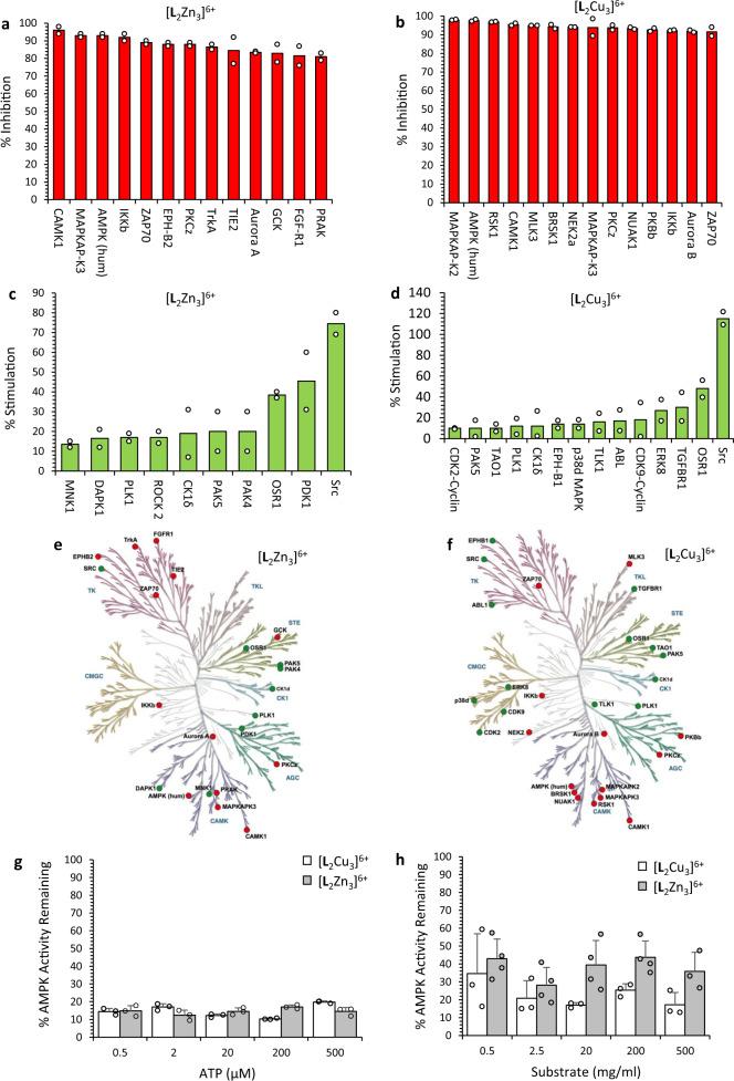 https://cdn.ncbi.nlm.nih.gov/pmc/blobs/34c8/8222254/9e3343438eaa/41467_2021_23983_Fig7_HTML.jpg