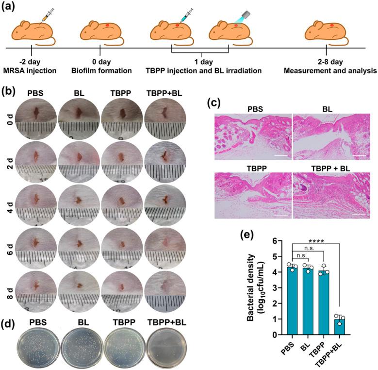 https://cdn.ncbi.nlm.nih.gov/pmc/blobs/34c9/11653106/2913c42305e4/d4ra07666d-f5.jpg
