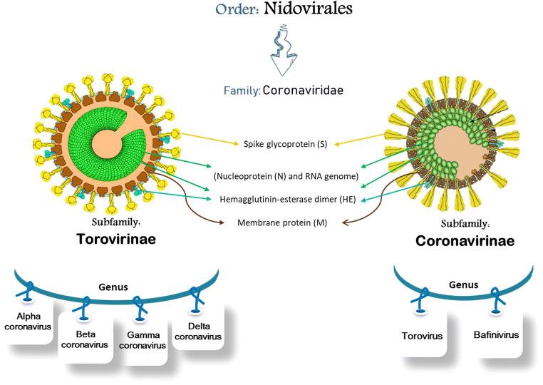 https://cdn.ncbi.nlm.nih.gov/pmc/blobs/34c9/8364539/7c5101892be1/11356_2021_15052_Fig1_HTML.jpg