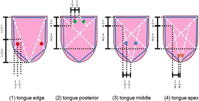 https://cdn.ncbi.nlm.nih.gov/pmc/blobs/34cb/4609076/d19c948de53b/12906_2015_904_Fig2_HTML.jpg