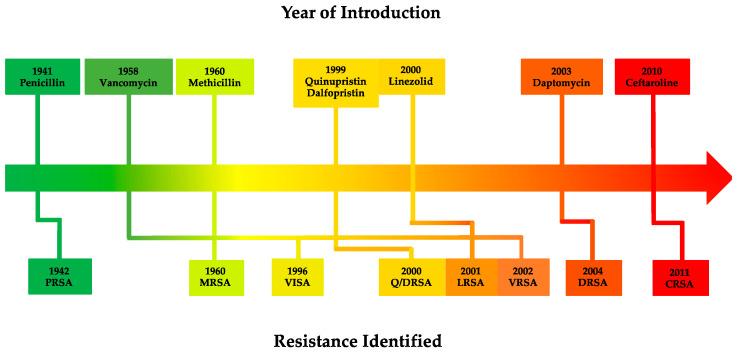 https://cdn.ncbi.nlm.nih.gov/pmc/blobs/34cc/9866002/004bc33c5be1/microorganisms-11-00024-g002.jpg