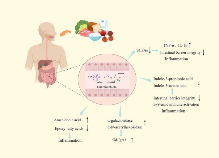 https://cdn.ncbi.nlm.nih.gov/pmc/blobs/34cd/12045934/a790f3a9cd80/FSN3-13-e70218-g001.jpg