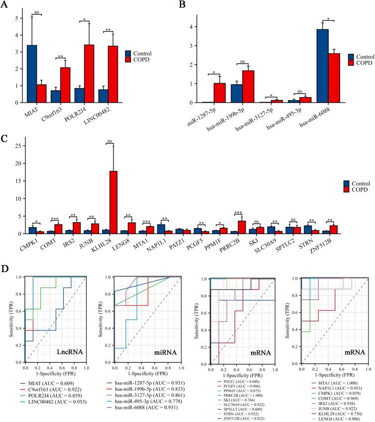 https://cdn.ncbi.nlm.nih.gov/pmc/blobs/34ce/10860591/1311a6a7f23c/COPD-19-419-g0003.jpg