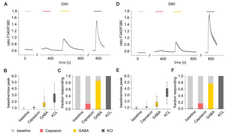 https://cdn.ncbi.nlm.nih.gov/pmc/blobs/34ce/7348931/01970764b025/brainsci-10-00344-g008.jpg