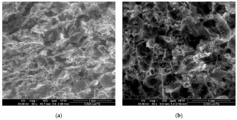 https://cdn.ncbi.nlm.nih.gov/pmc/blobs/34cf/11125041/6a0121e5b6a9/polymers-16-01360-g002a.jpg