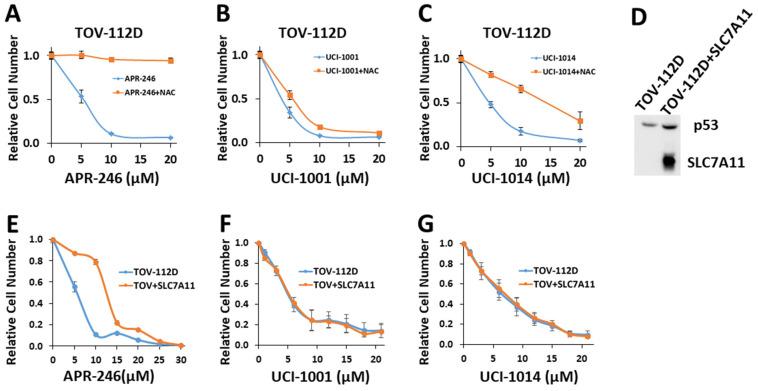 https://cdn.ncbi.nlm.nih.gov/pmc/blobs/34cf/11352488/7545938fcdbf/biomolecules-14-00967-g007.jpg