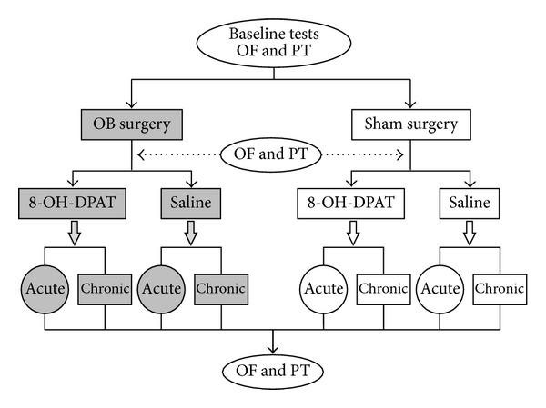 https://cdn.ncbi.nlm.nih.gov/pmc/blobs/34cf/3921963/d3a56abfbfe7/TSWJ2014-405736.001.jpg