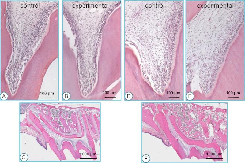 https://cdn.ncbi.nlm.nih.gov/pmc/blobs/34cf/4741077/3937c1a46754/peerj-04-1625-g003.jpg