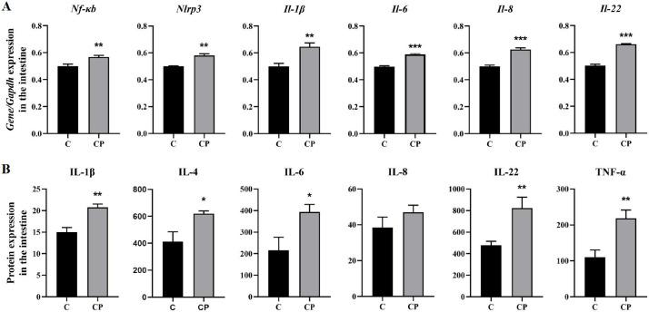 https://cdn.ncbi.nlm.nih.gov/pmc/blobs/34d0/12386127/439b33aa520d/genes-16-00949-g006.jpg