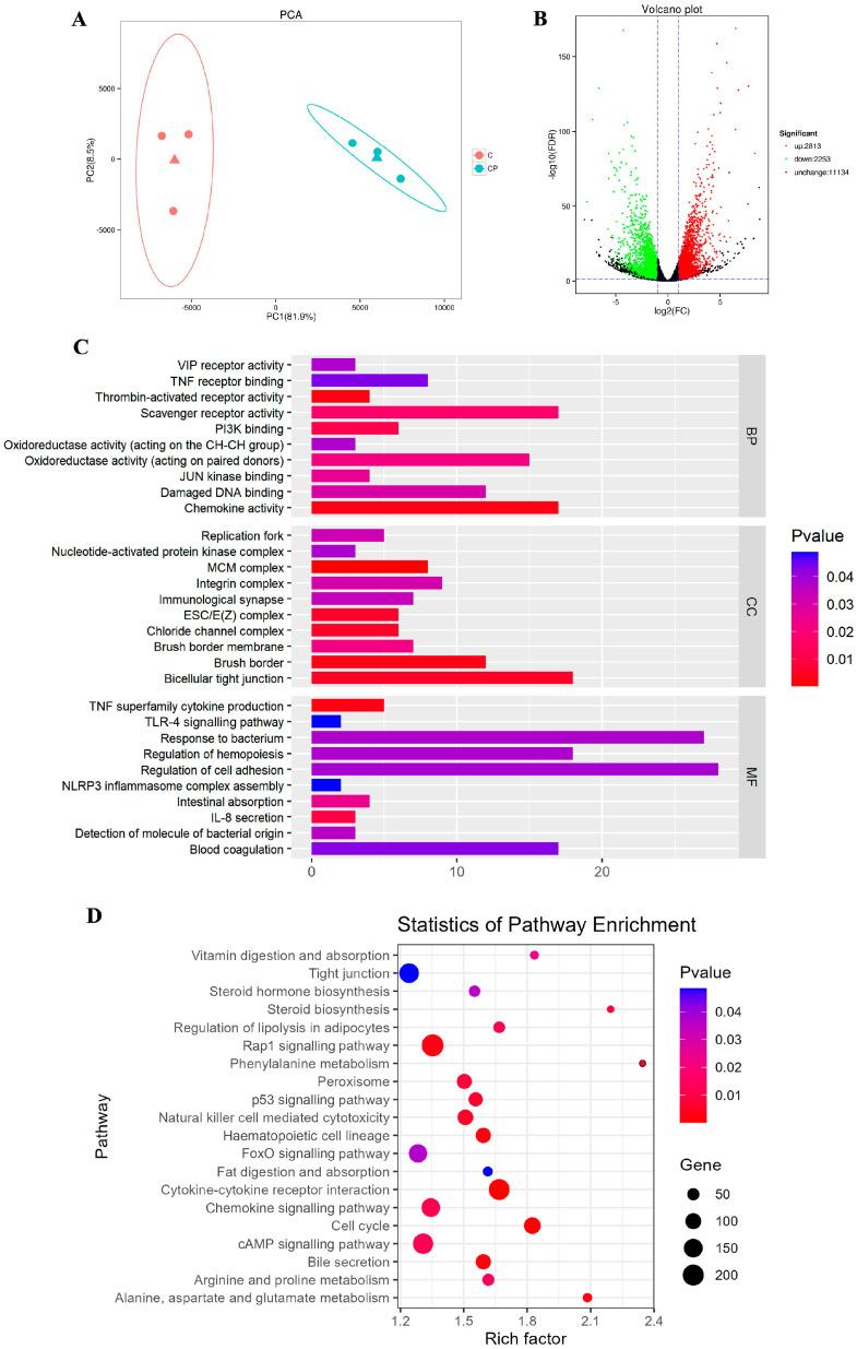 https://cdn.ncbi.nlm.nih.gov/pmc/blobs/34d0/12386127/4975089d8ce2/genes-16-00949-g003.jpg
