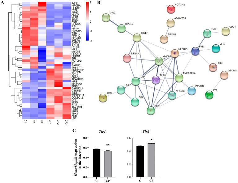 https://cdn.ncbi.nlm.nih.gov/pmc/blobs/34d0/12386127/6fda1ec436ea/genes-16-00949-g005.jpg